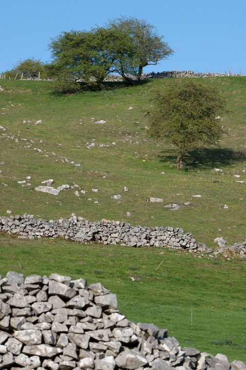 2019-04-n10-7003.jpg