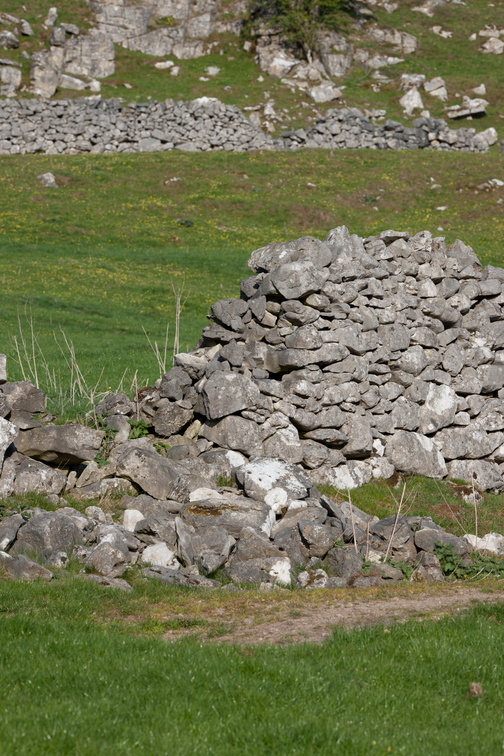 2019-04-n10-7009.jpg