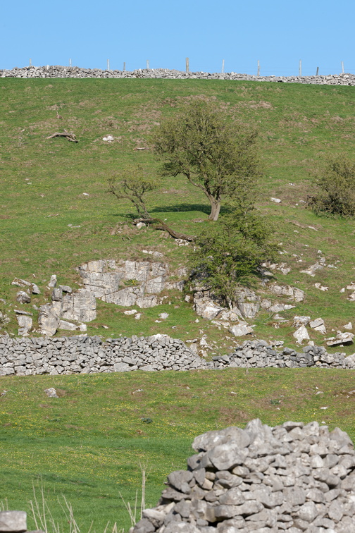 2019-04-n10-7014.jpg