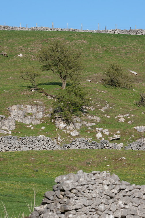 2019-04-n10-7015.jpg