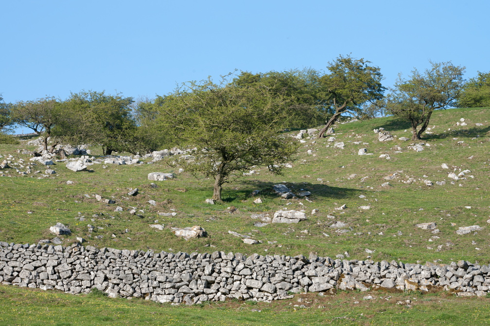 2019-04-n10-7026.jpg