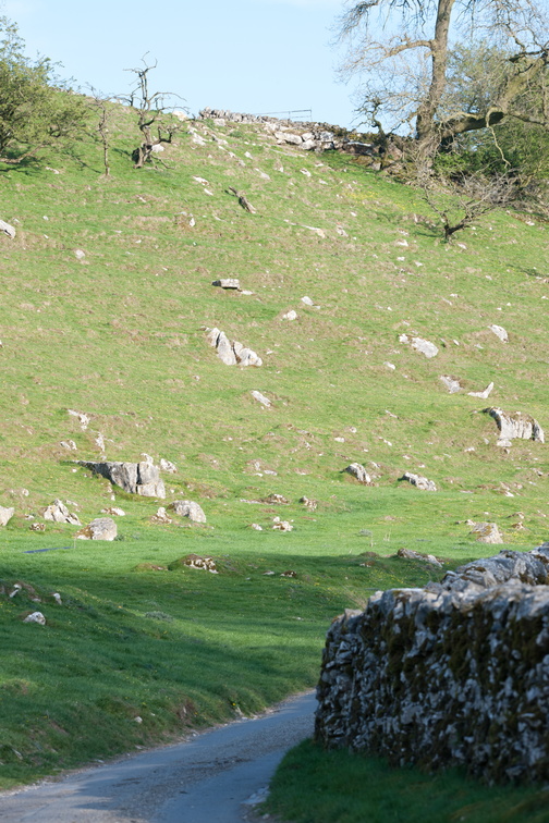 2019-04-n10-7047.jpg