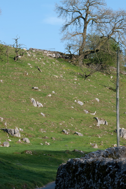 2019-04-n10-7048.jpg