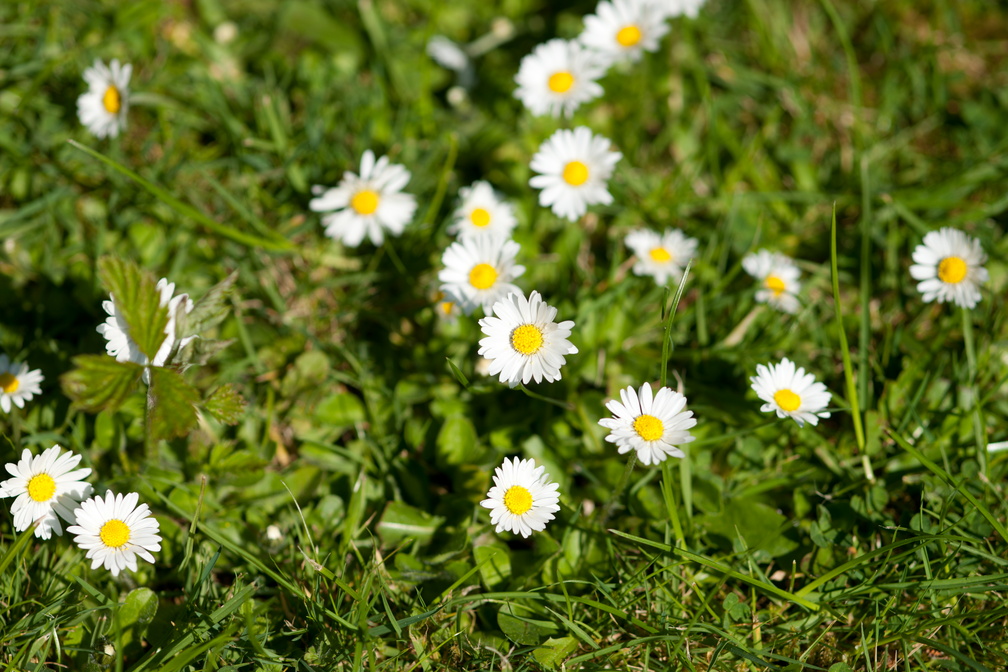 2019-04-n10-7465.jpg