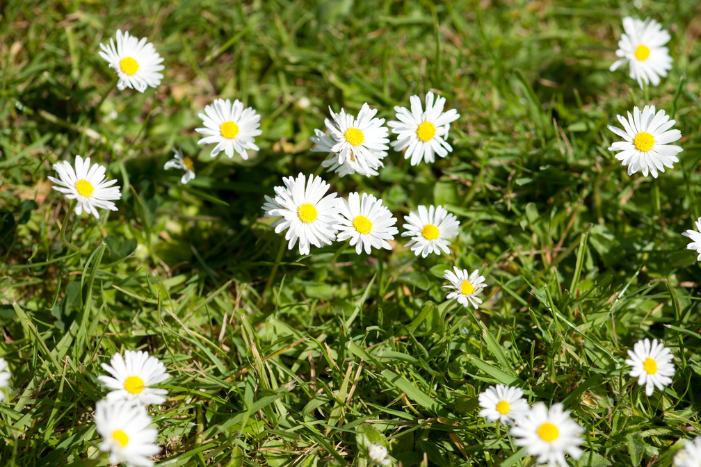2019-04-n10-7468.jpg
