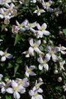 2019-04-n10-7720