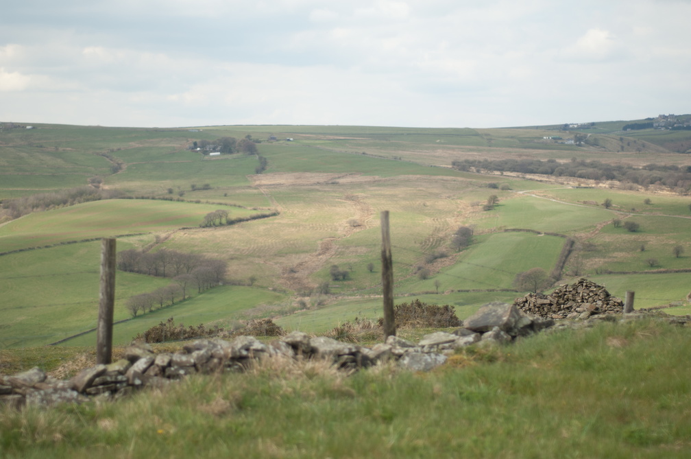 2019-04-n3-0225.jpg