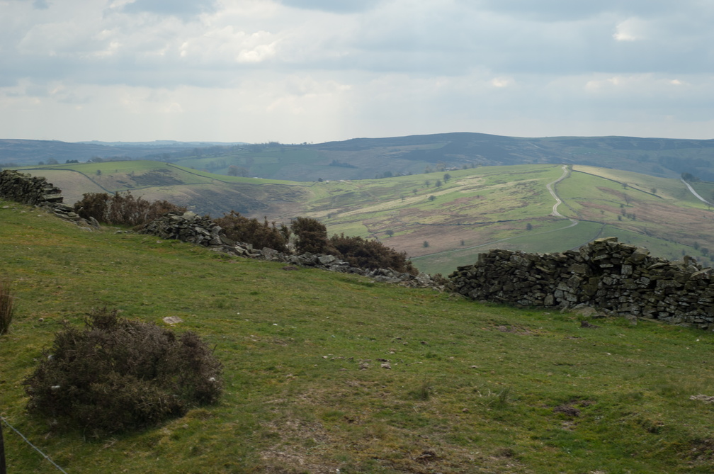 2019-04-n3-0235.jpg