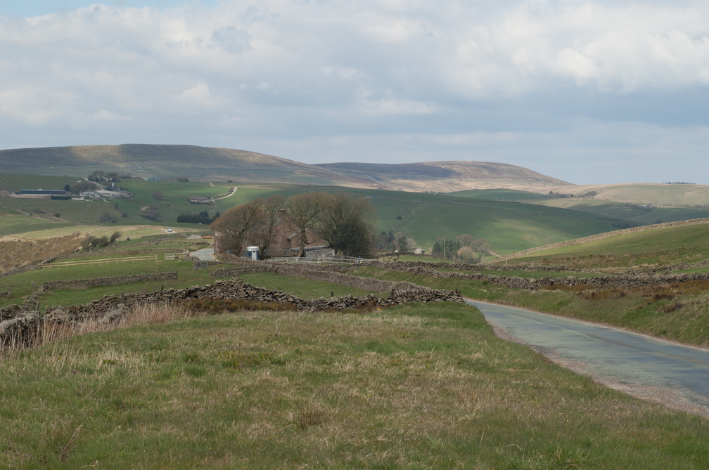 2019-04-n3-0243.jpg