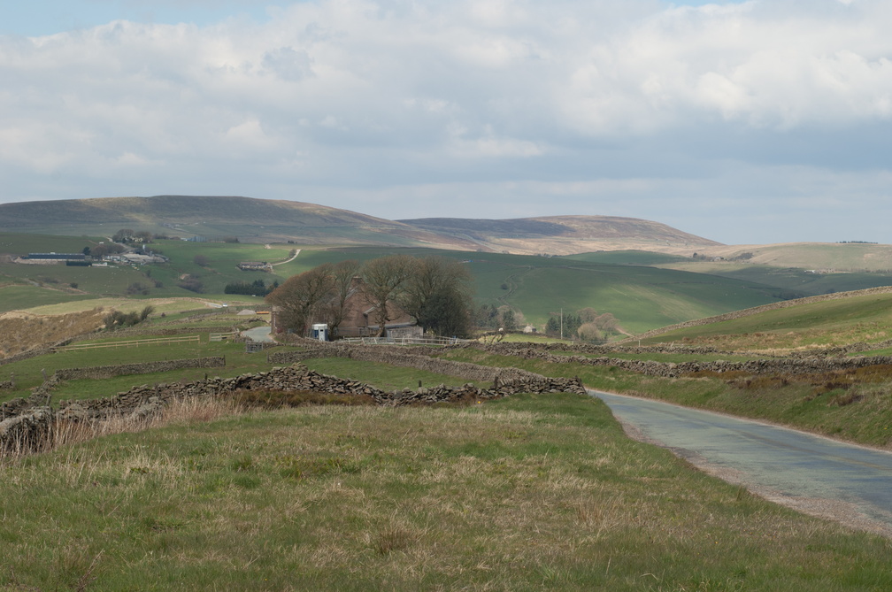 2019-04-n3-0246.jpg