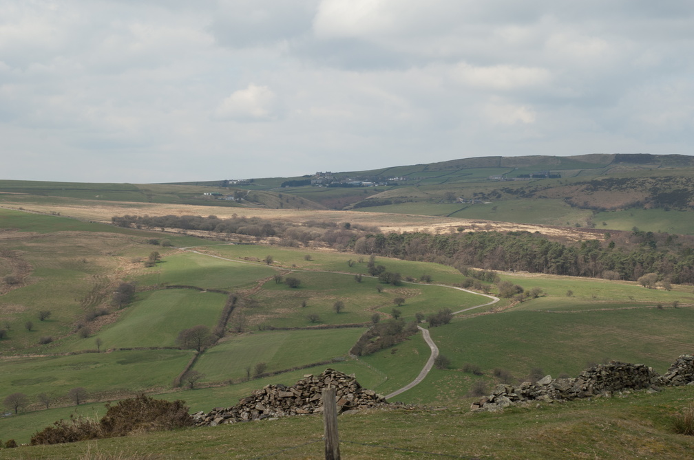 2019-04-n3-0250.jpg