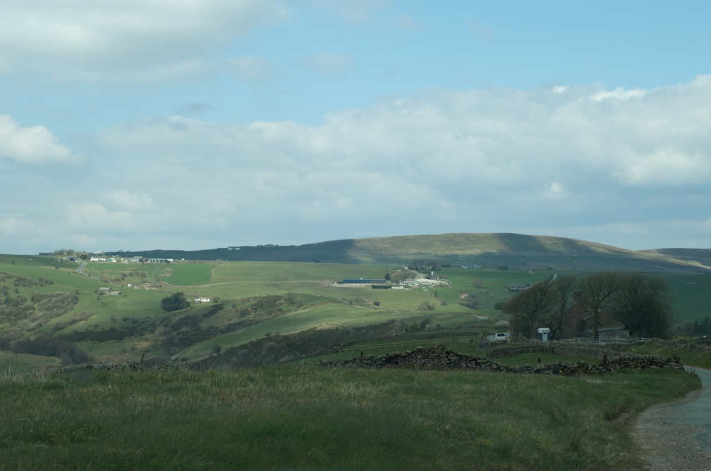 2019-04-n3-0259.jpg