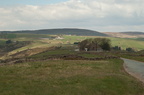 2019-04-n3-0265