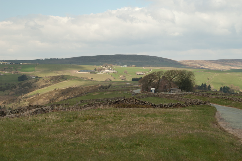 2019-04-n3-0266.jpg