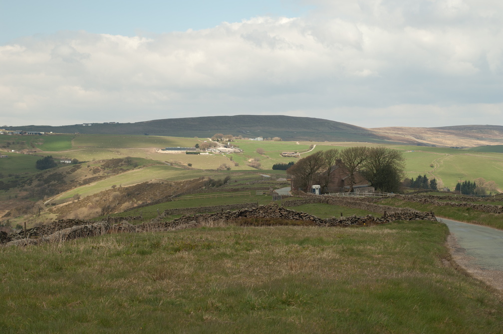 2019-04-n3-0267.jpg
