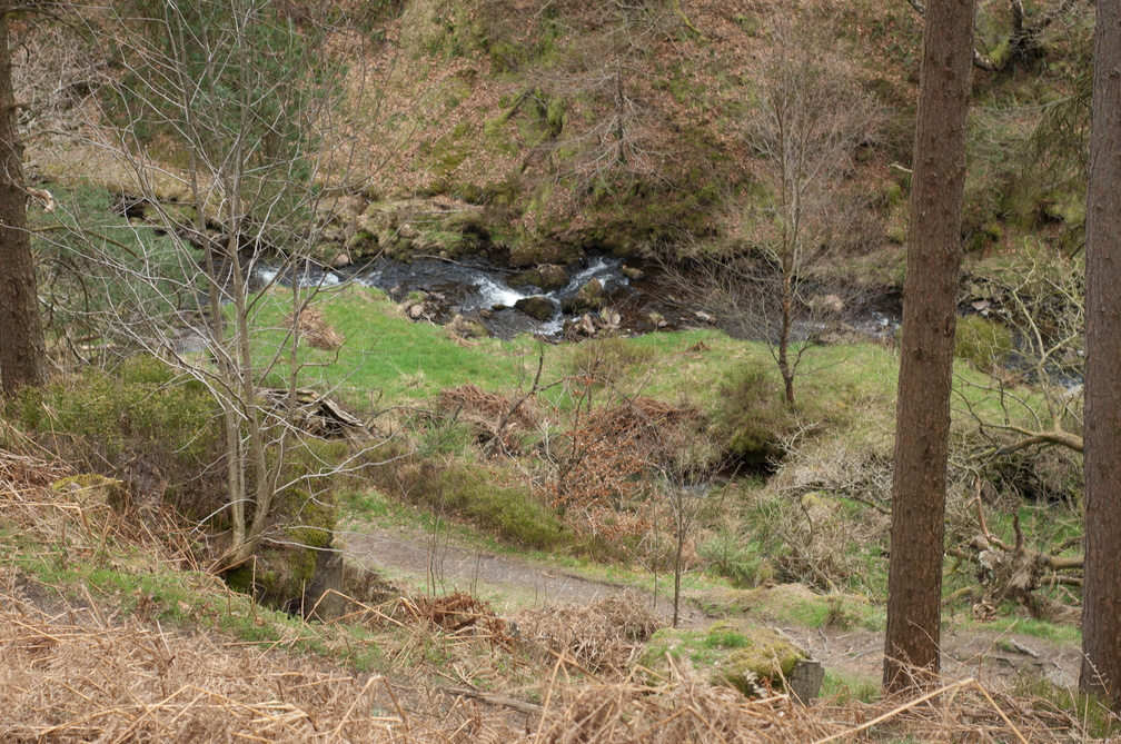 2019-04-n3-0308.jpg