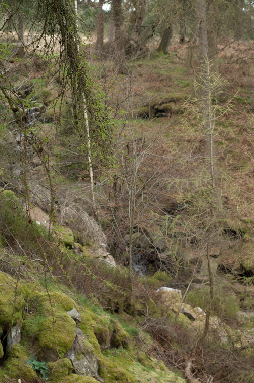 2019-04-n3-0311.jpg