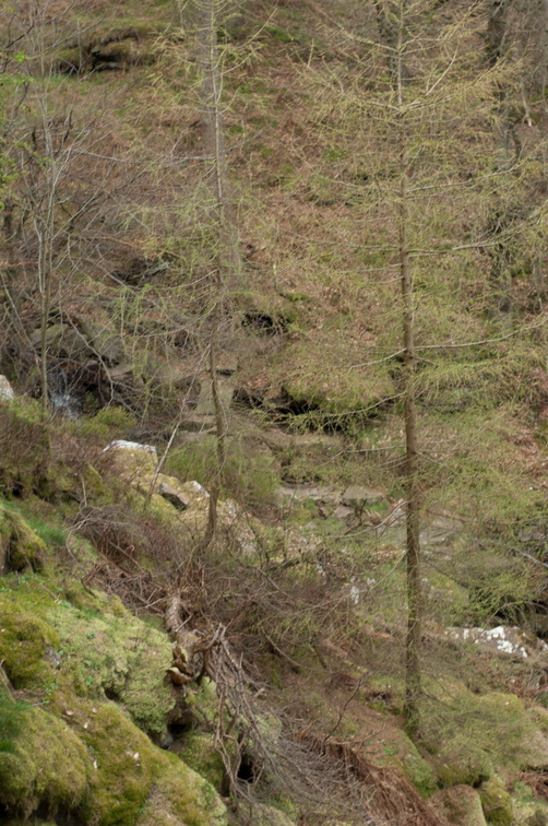 2019-04-n3-0312.jpg