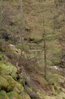 2019-04-n3-0313