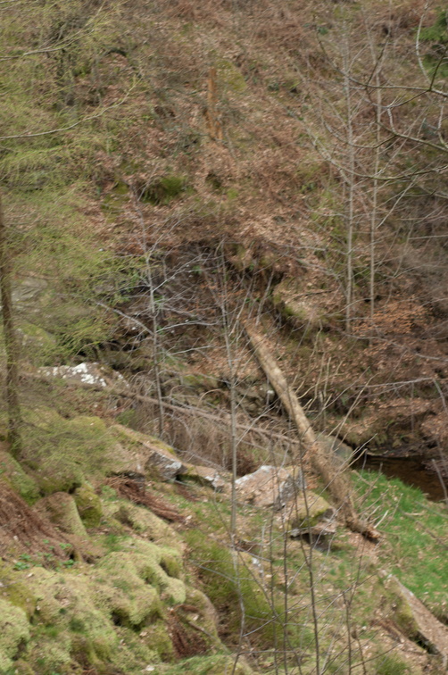 2019-04-n3-0316.jpg