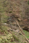 2019-04-n3-0316