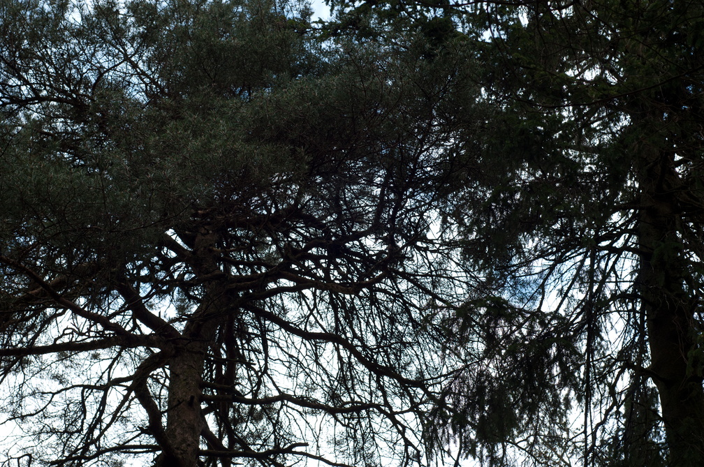 2019-04-n3-0321.jpg