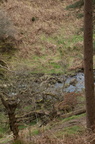 2019-04-n3-0324