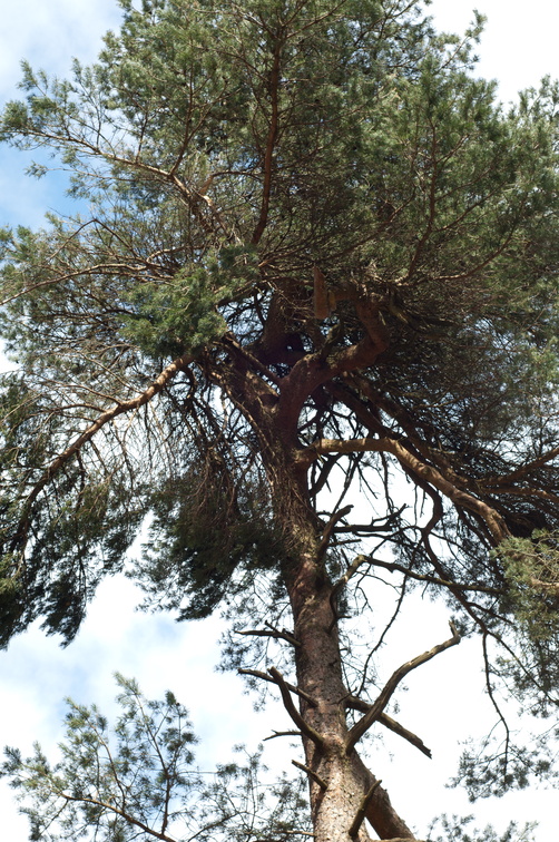 2019-04-n3-0330.jpg