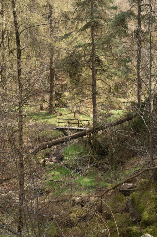 2019-04-n3-0343.jpg