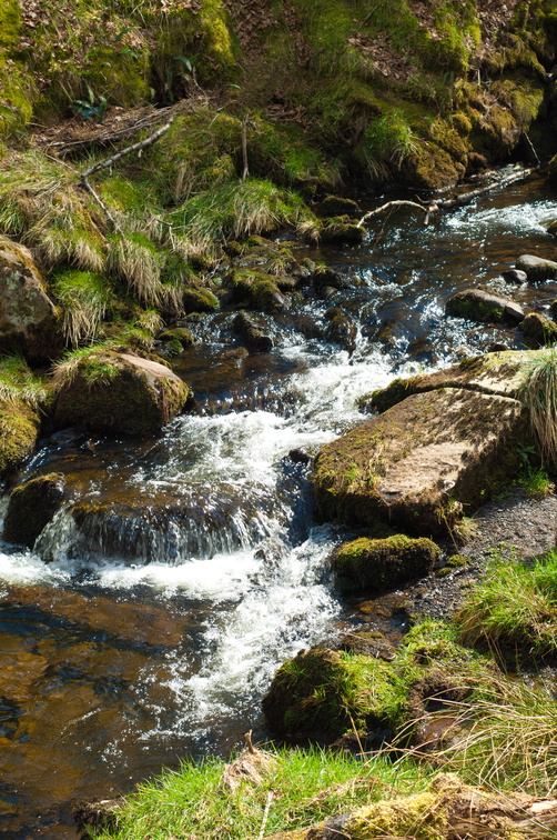 2019-04-n3-0347.jpg