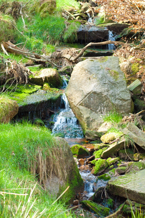 2019-04-n3-0367.jpg