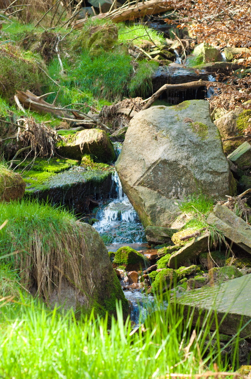 2019-04-n3-0372.jpg