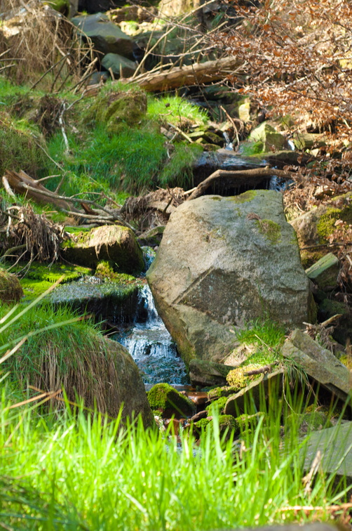 2019-04-n3-0379.jpg