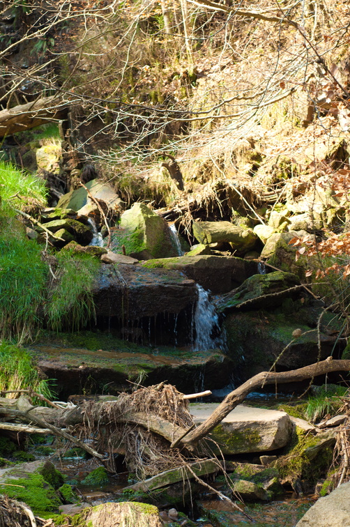 2019-04-n3-0395.jpg