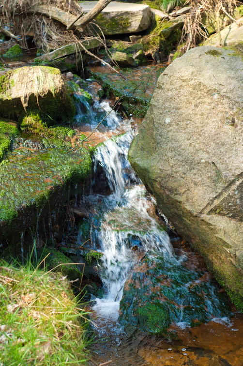 2019-04-n3-0396.jpg