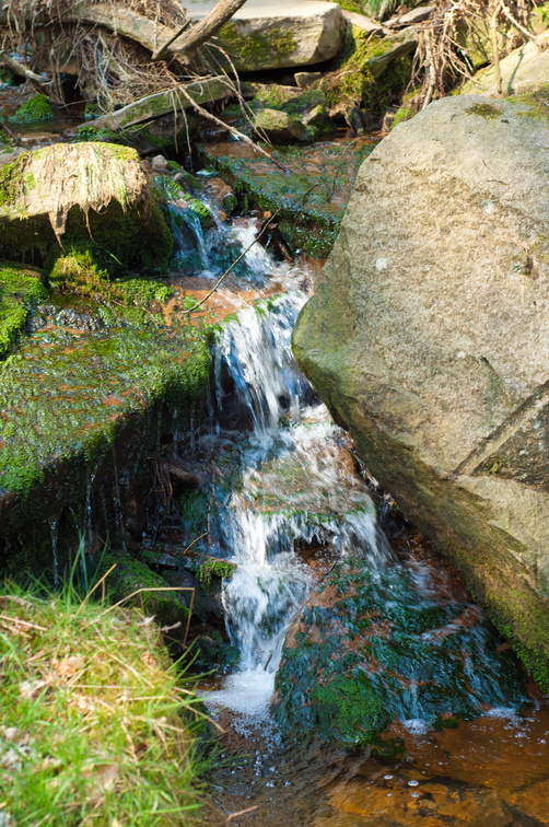 2019-04-n3-0397.jpg