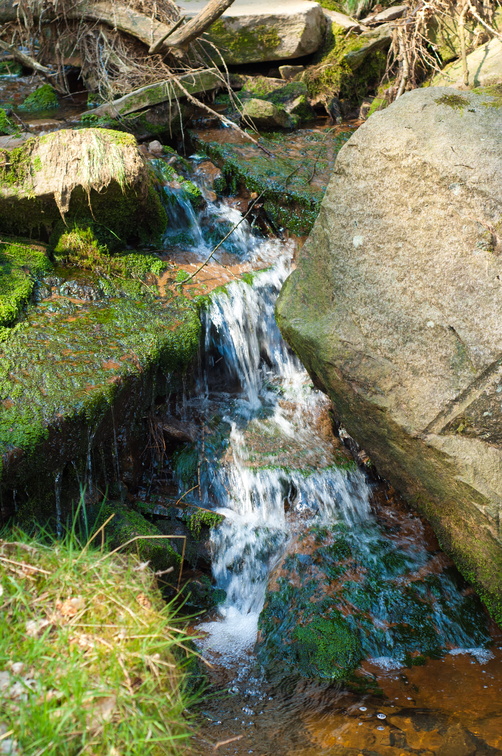2019-04-n3-0398.jpg