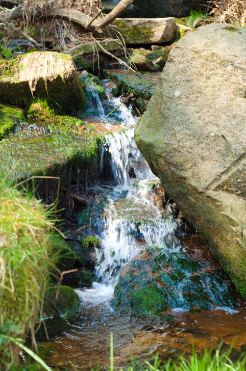 2019-04-n3-0409.jpg