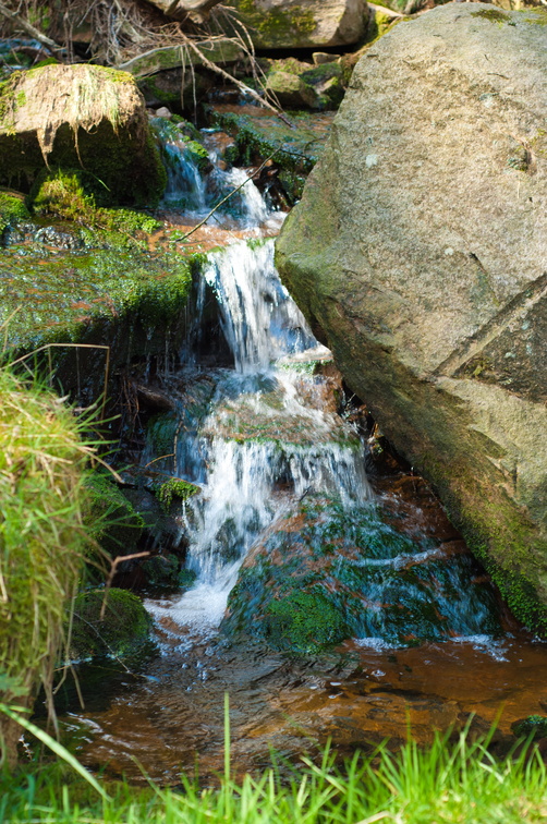 2019-04-n3-0410.jpg