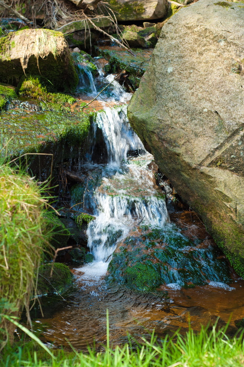 2019-04-n3-0413.jpg