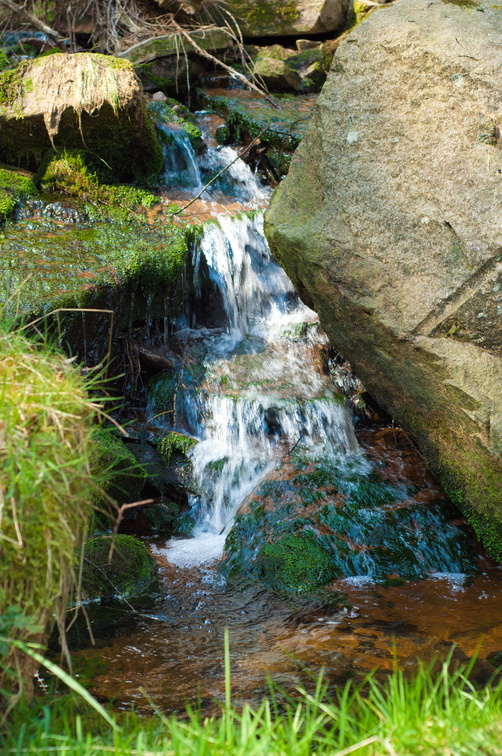 2019-04-n3-0414.jpg