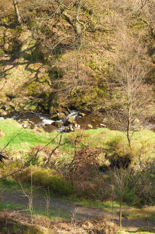 2019-04-n3-0426.jpg