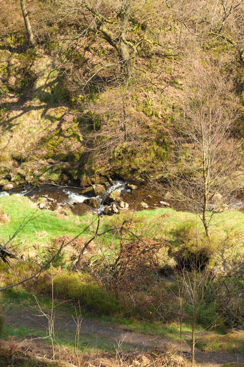 2019-04-n3-0427.jpg
