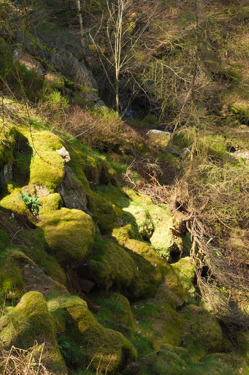 2019-04-n3-0428.jpg