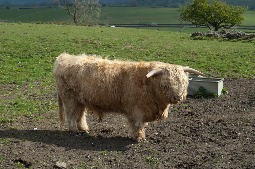 2019-04-n3-0459.jpg