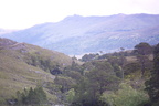 2019-06-n10-8877
