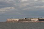 2019-06-n10-9137