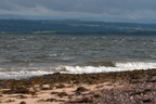 2019-06-n10-9143