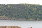 2019-06-n10-9208