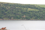 2019-06-n10-9209